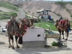 20250517_cappadocia_039.jpg
